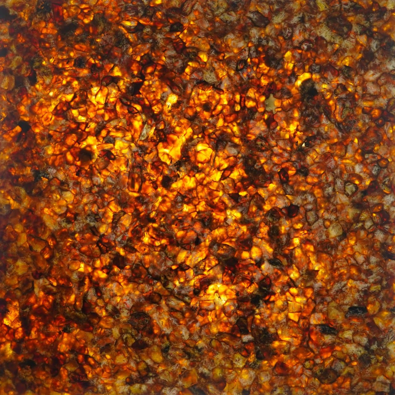 Amber tiles